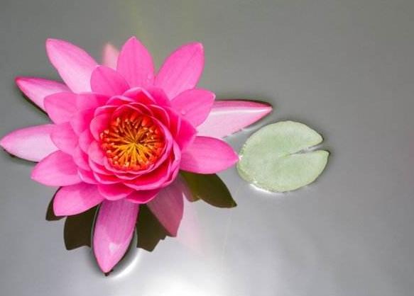 富贵人的八字实例