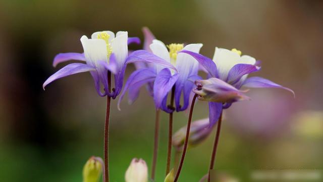 天蝎座2021年桃花运势分析