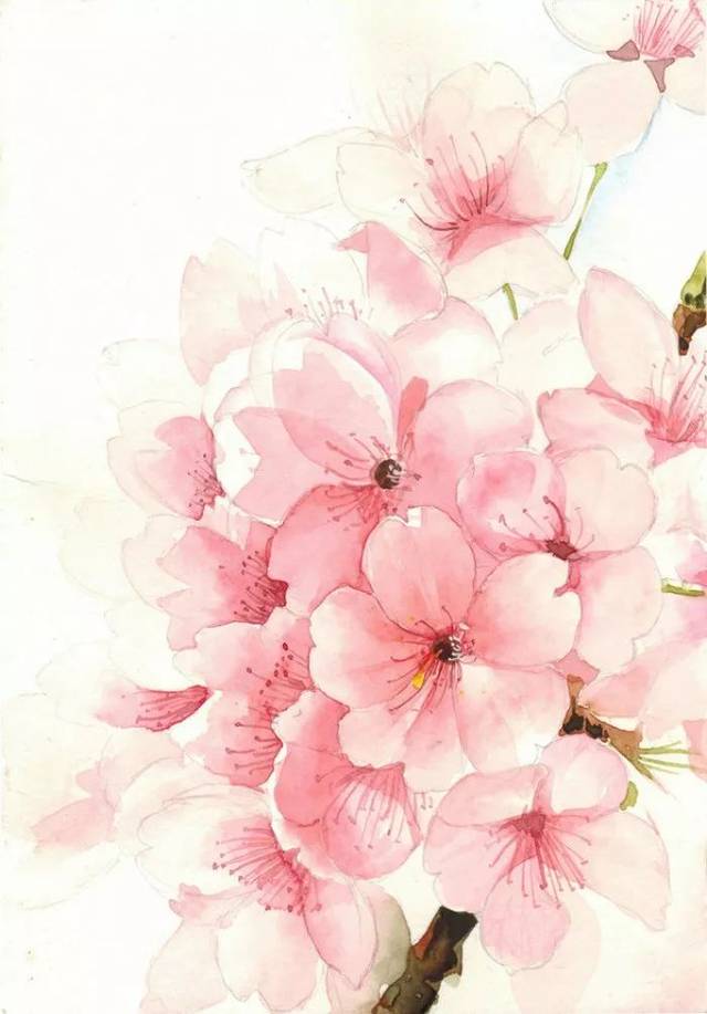 桃花运势影响