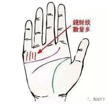 男人富贵手相算命图解