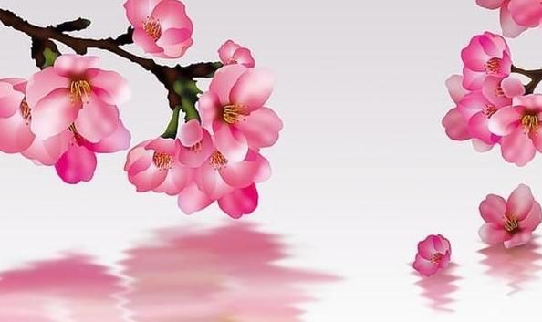 你近期的桃花运势会是怎么样的呢