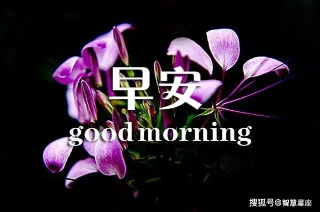 邓富贵属牛11月12日什么命运