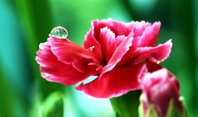 运势说丨桃花运来临