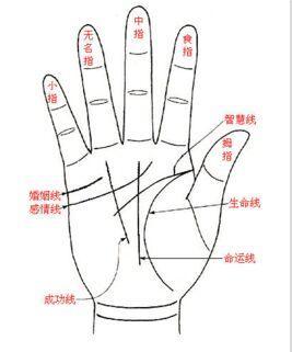 女人手相算命富贵相的解析