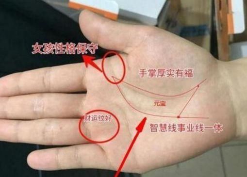 男人左手手纹算命图解怎么看富贵