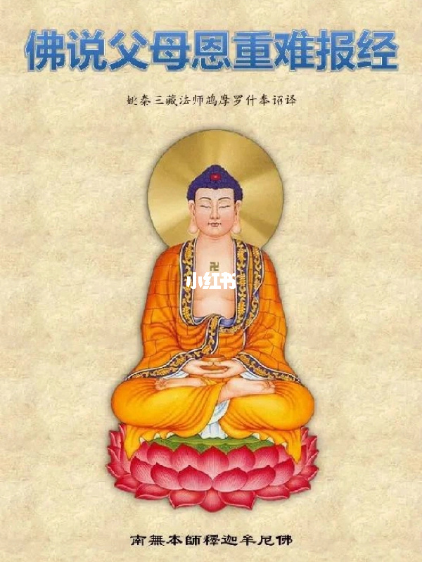 论父母富贵八字