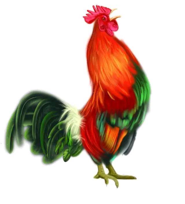 属鸡2022年桃花运势在几月