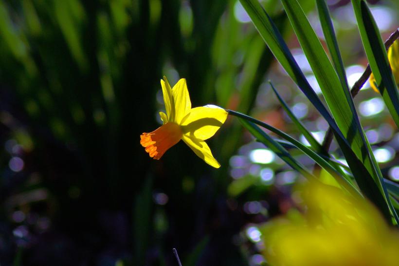 6月份桃花运势极佳