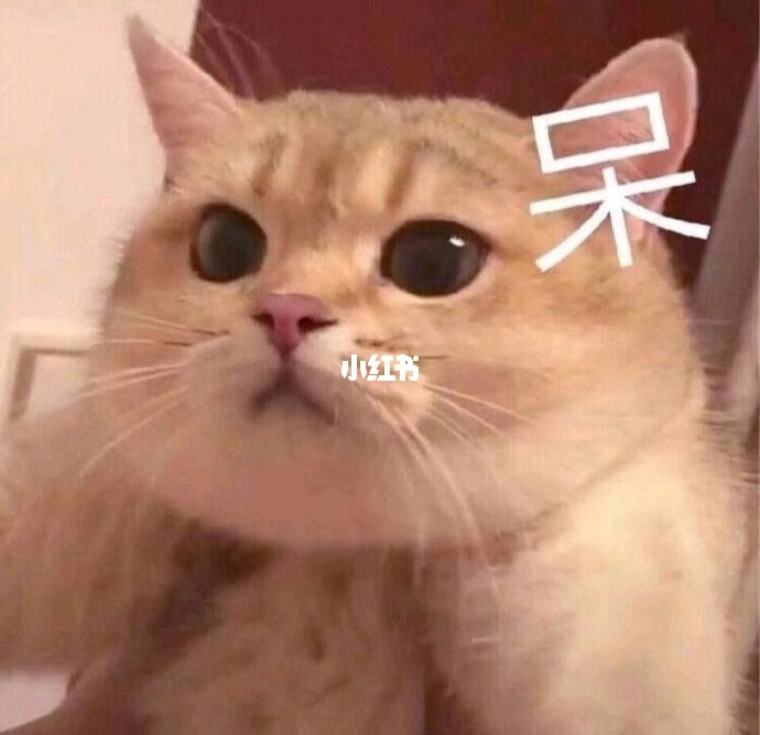 算命说我有富贵命什么意思