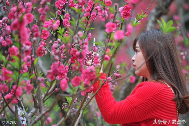 桃花运最旺的八字