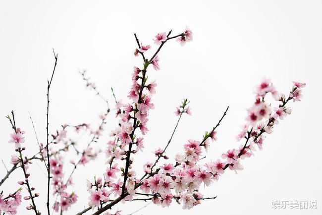 射手座今年九月桃花运势