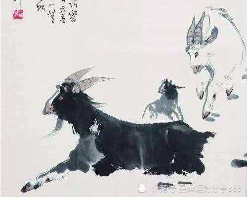 属羊桃花运势