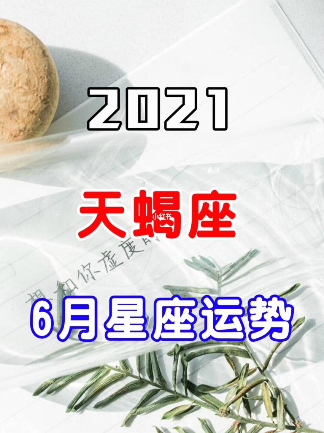 2021年天蝎座桃花运势