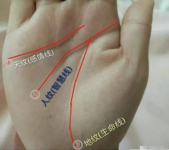 富贵男人的手相算命图解