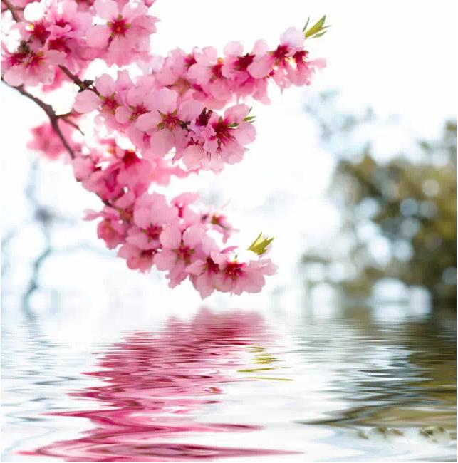 一月开启桃花运势