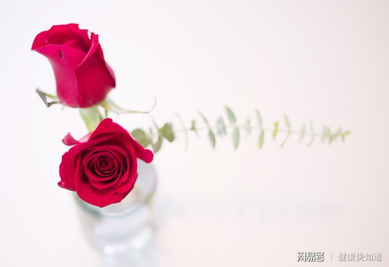 11月桃花运势上升的几大星座