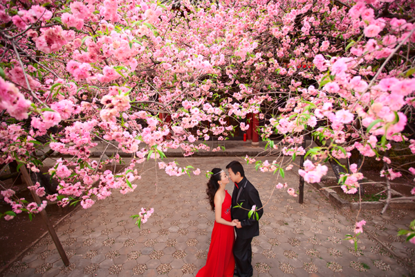 近期你的桃花运势会如何