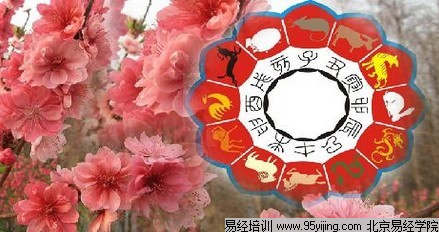 命运格局桃花运