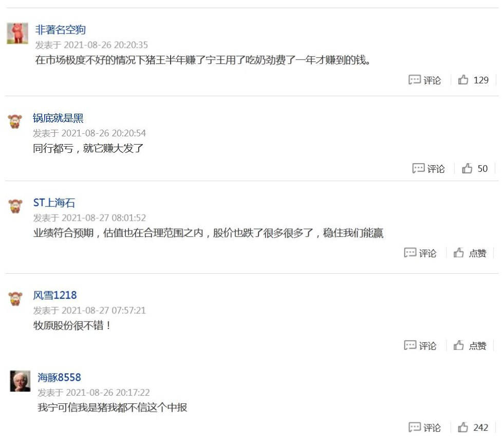 富贵猪命运