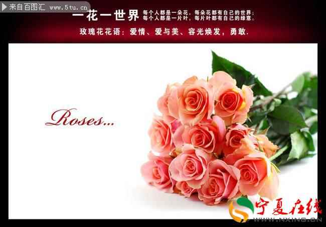 周公解梦大全查询桃花运