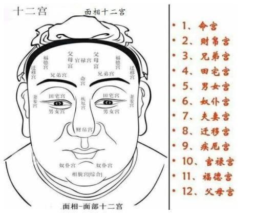 看相算命关于桃花运的