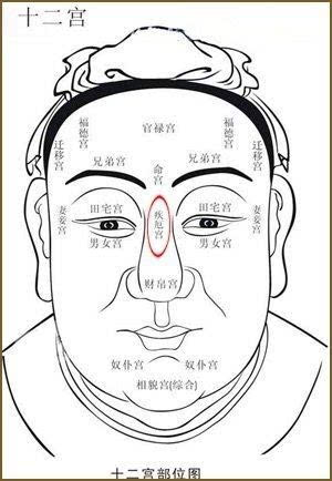 算命的说富贵的命有几种
