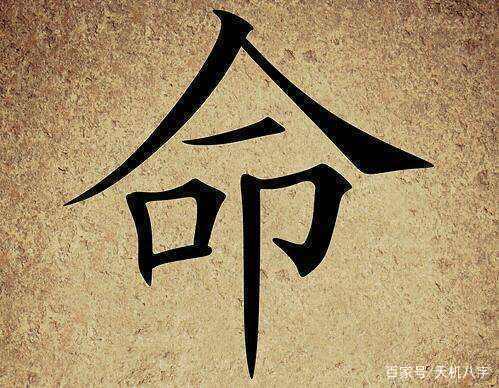 八字富贵非凡
