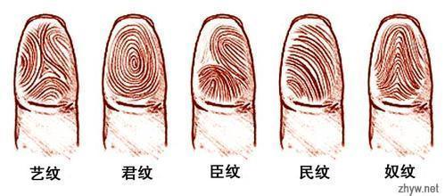 手趾头形状看命运富贵