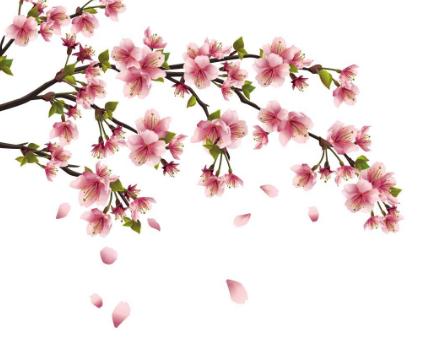 年桃花运旺盛的女命八字特征