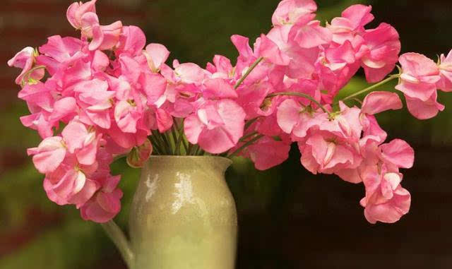 能八字增加桃花运吗