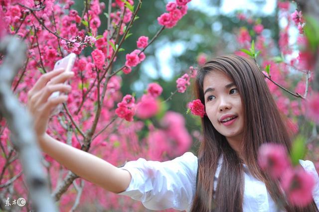 情侣生辰八字测算桃花运