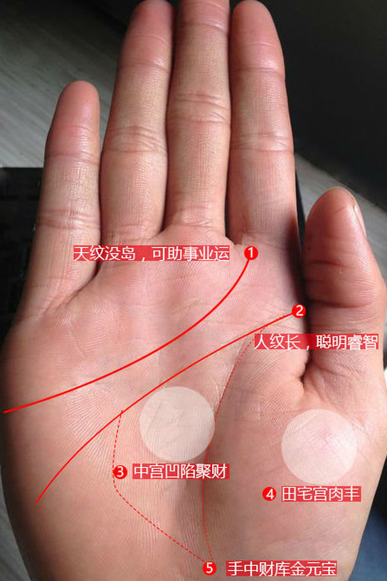 看手相算命图解女性富贵