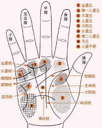 富贵的手相算命图解