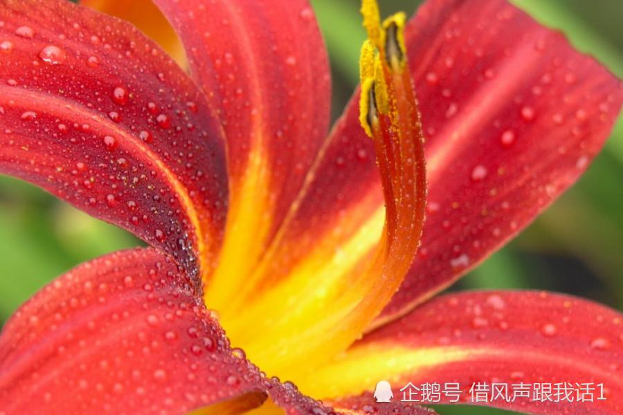 6月桃花运势高涨的简单介绍