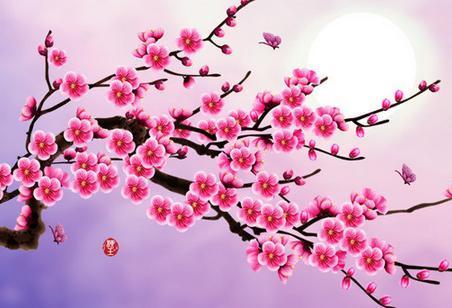 生辰八字的桃花运预兆