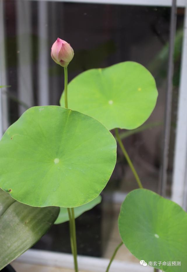 宜乎巨富贵的八字的简单介绍