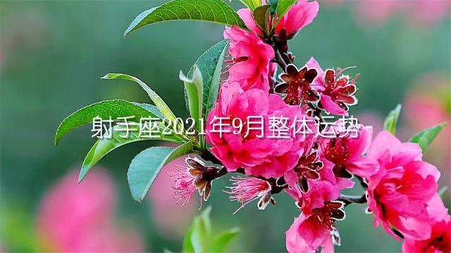 射手座2021年4月桃花运势的简单介绍