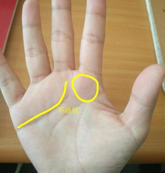 富贵命运的掌纹