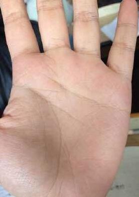 算命荣耀不足富贵有余