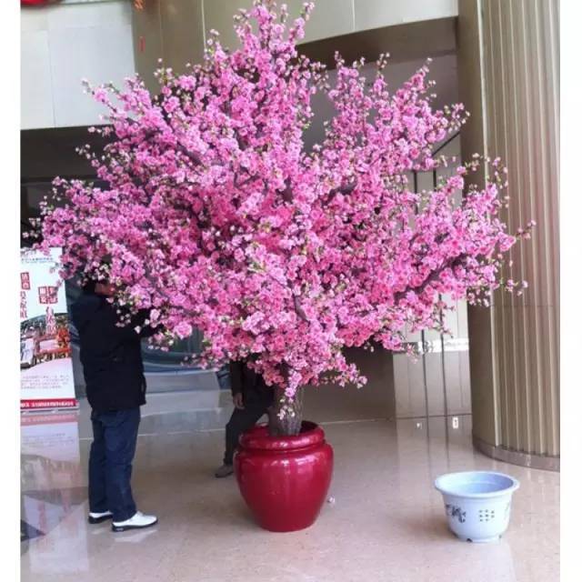 怎么看桃花运势