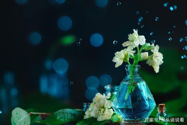 下周桃花运势爆棚