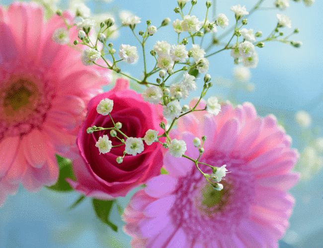 月份桃花运势
