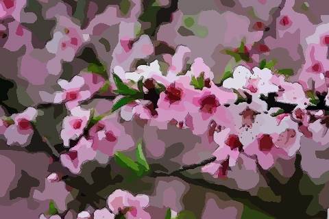 测感情运势免费桃花运