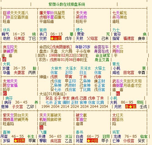 八字伤官格富贵