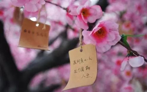 免费算命测桃花运