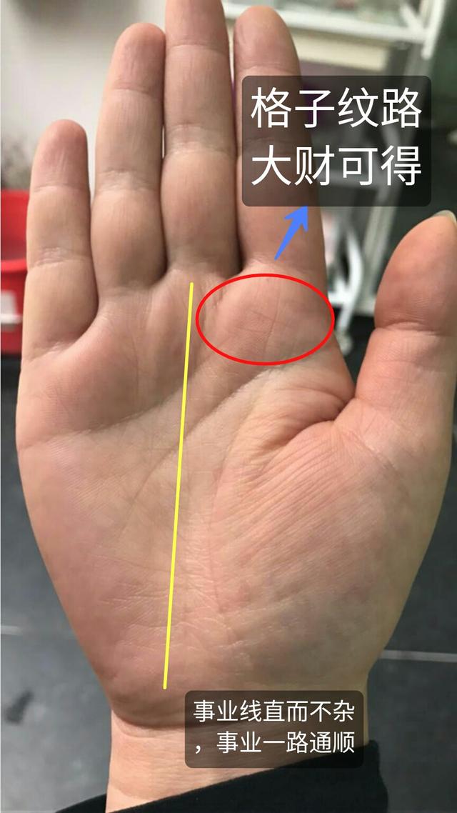 富贵命但是不努力算命