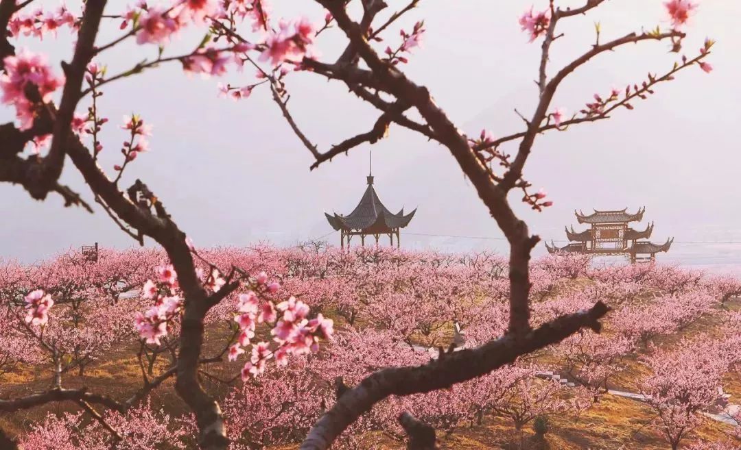 测你近期桃花运势如何