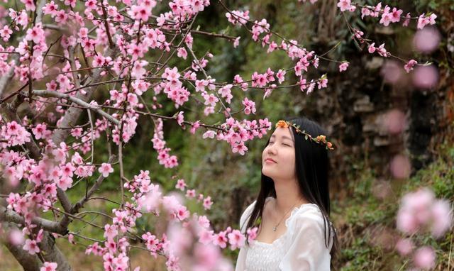 没有桃花运八字