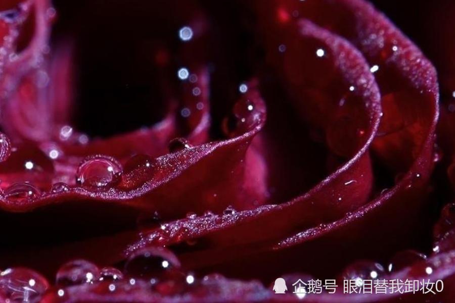 包含七月初桃花运势回归的词条