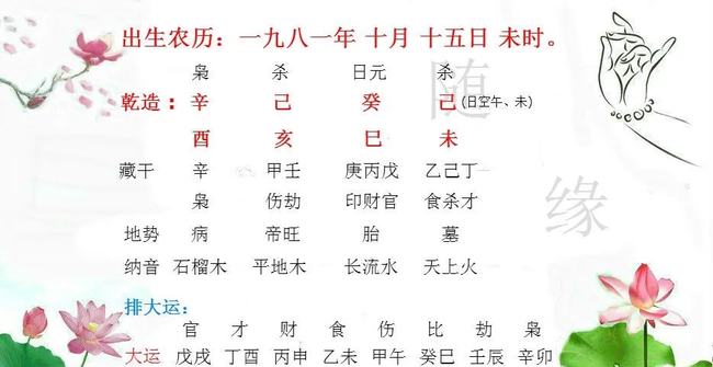 三命通会丙日己亥时富贵八字